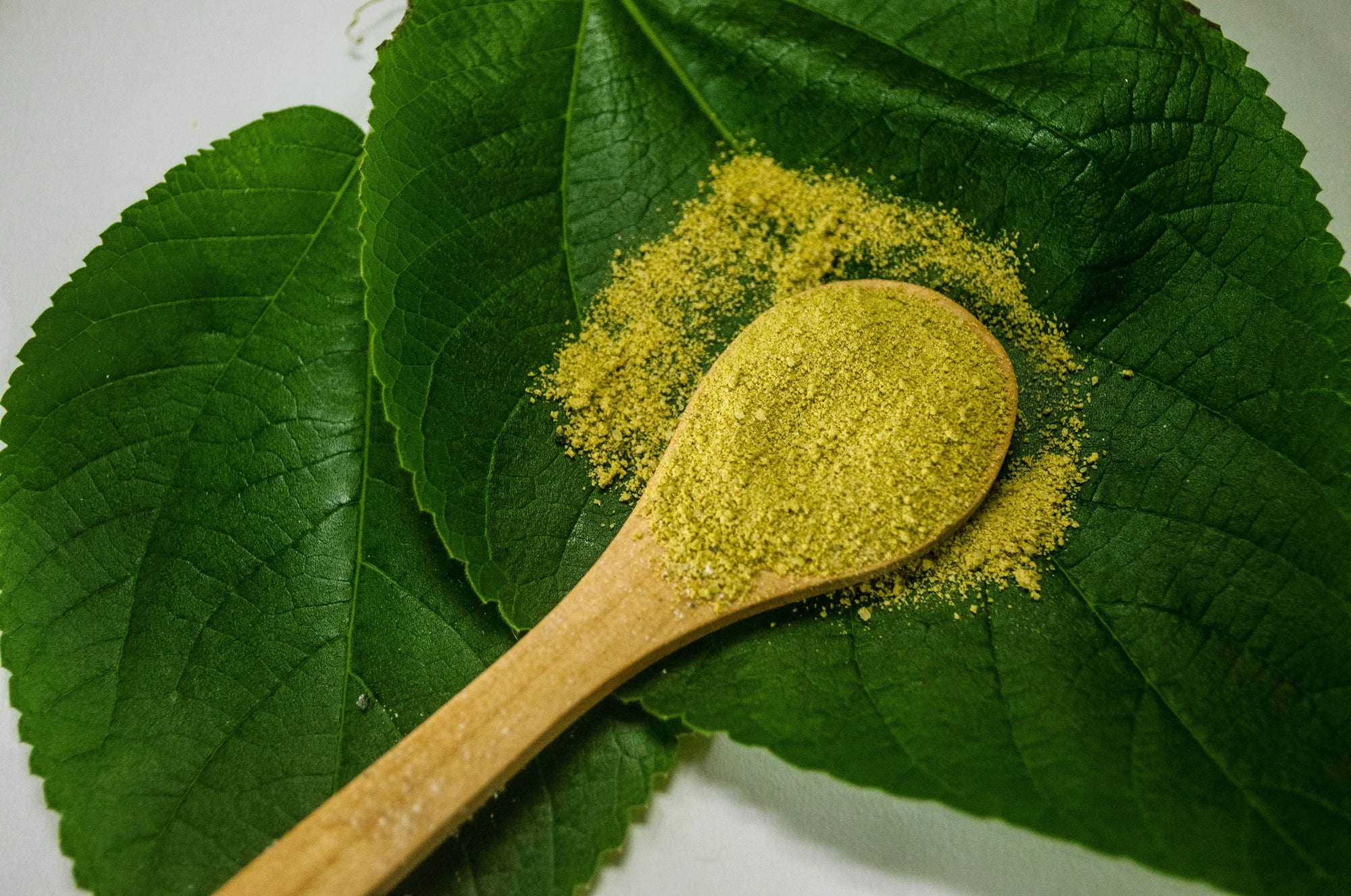 Kratom for Beginners