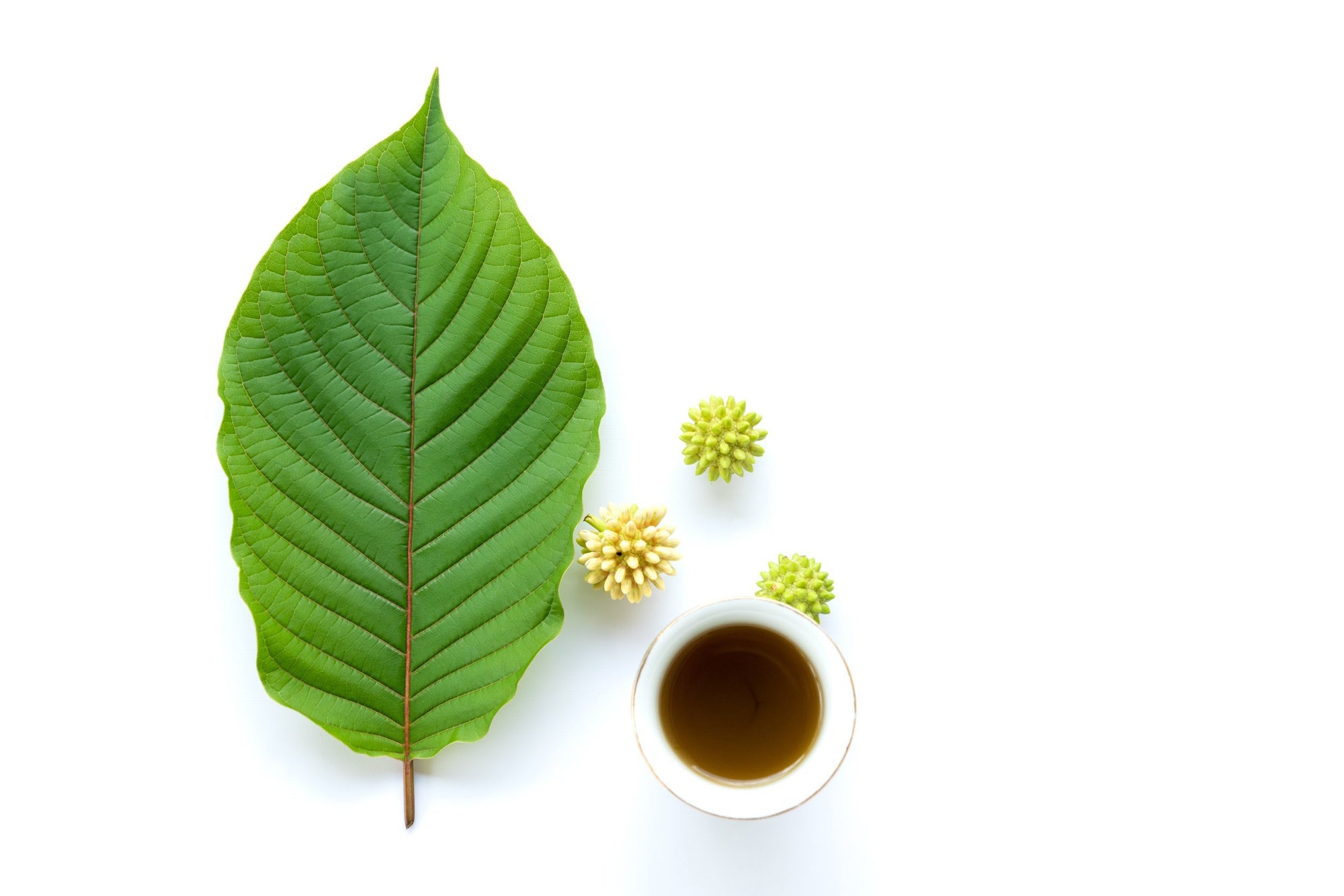 7OH Kratom: The Ideal Supplement for Active Lifestyles