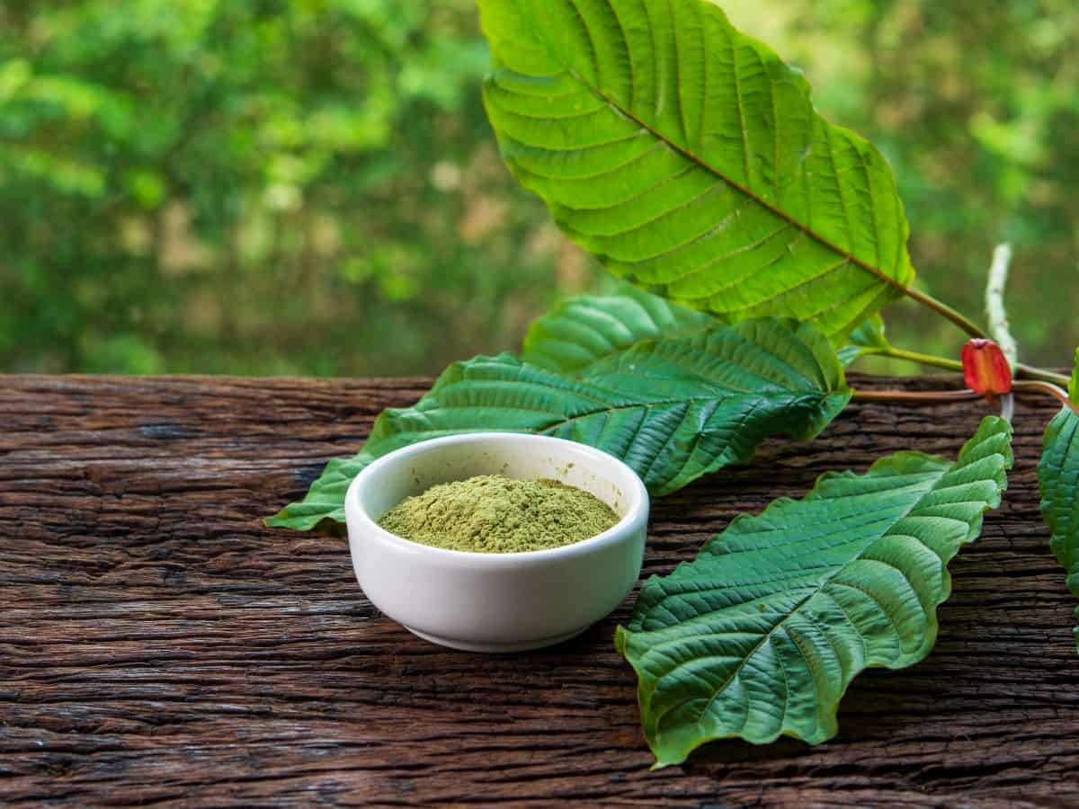 The History of Kratom: From Traditional Medicine to Modern Use